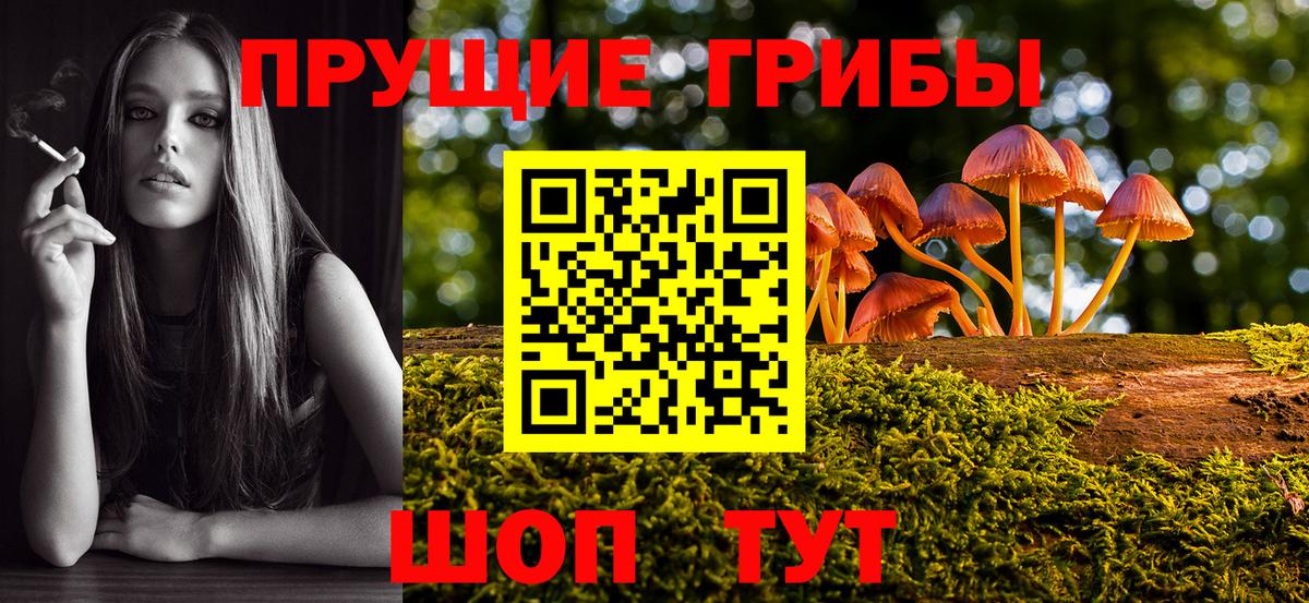Губаха  Псилоцибиновые грибы мицелий  Вход с VPN 