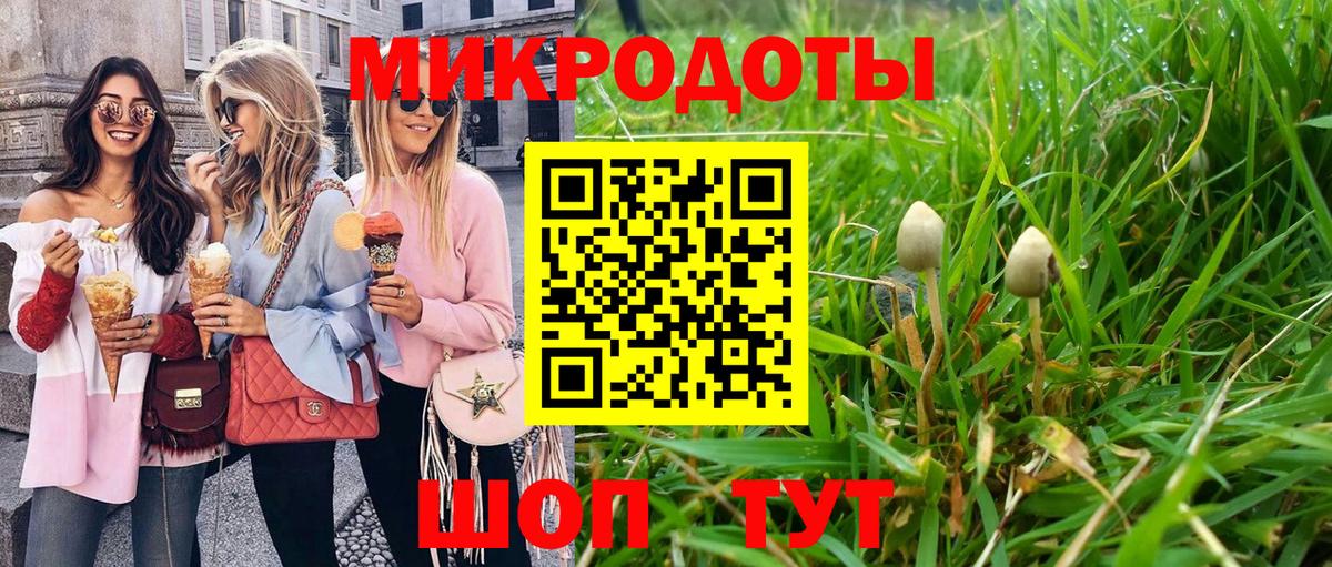Псилоцибиновые грибы мицелий Губаха